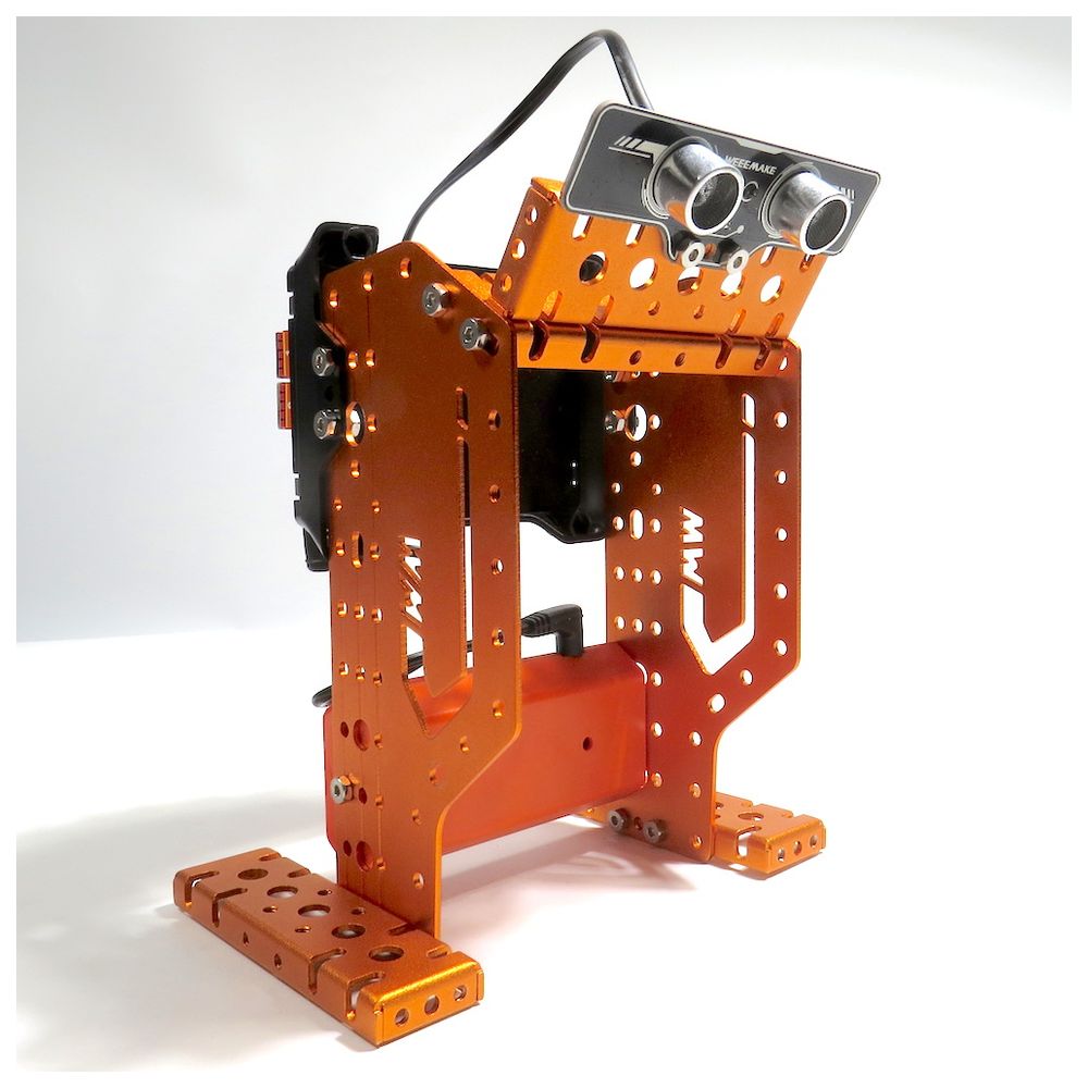 Robotica Weeemake Weeebot